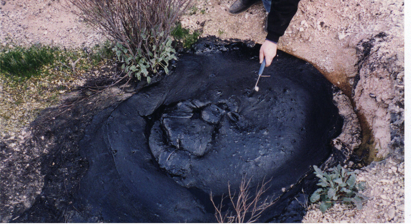 Lldenke, McKittrick Tar Seep North of Highway 58, 2000.